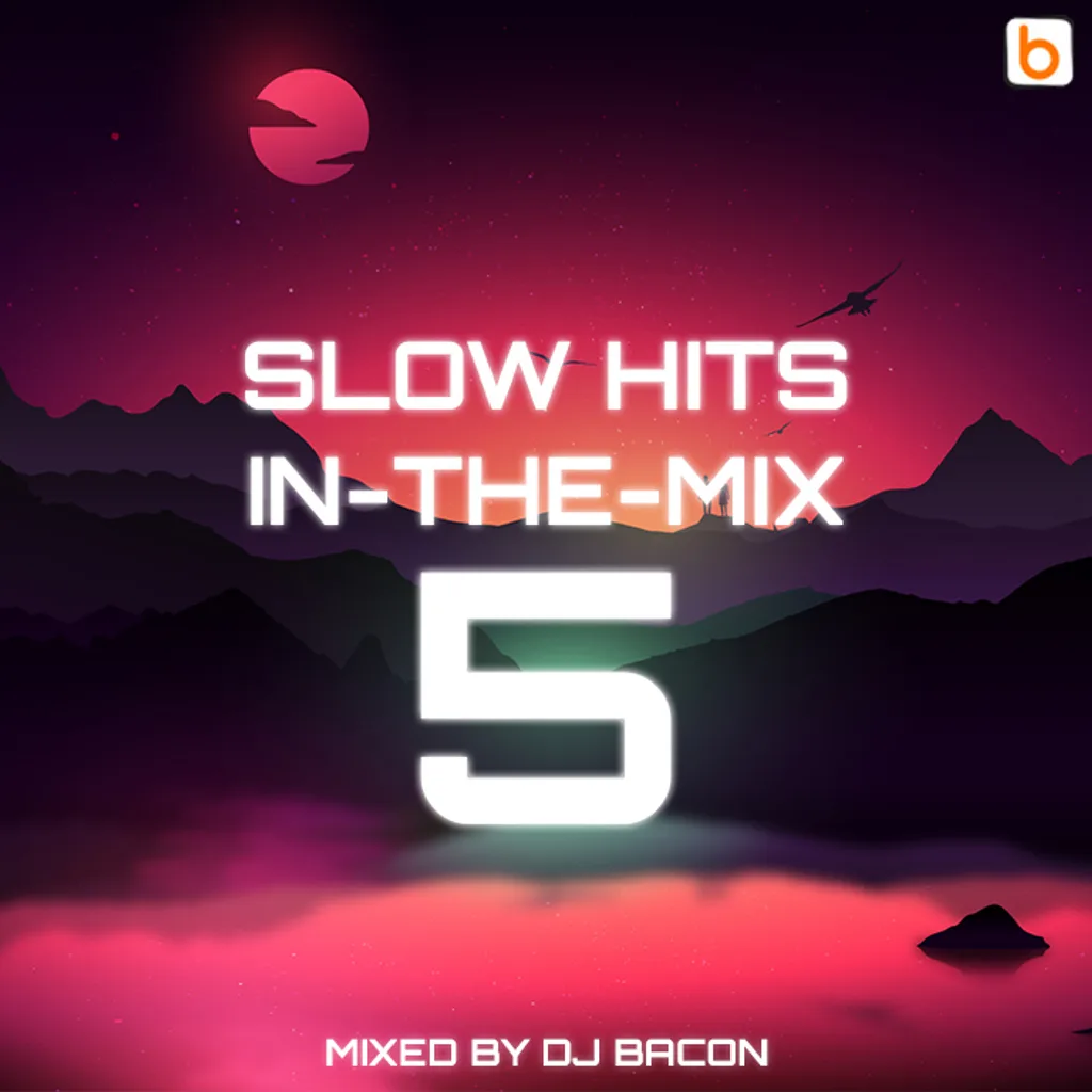 Cover artwork for Slow Hits in-the-mix vol.5