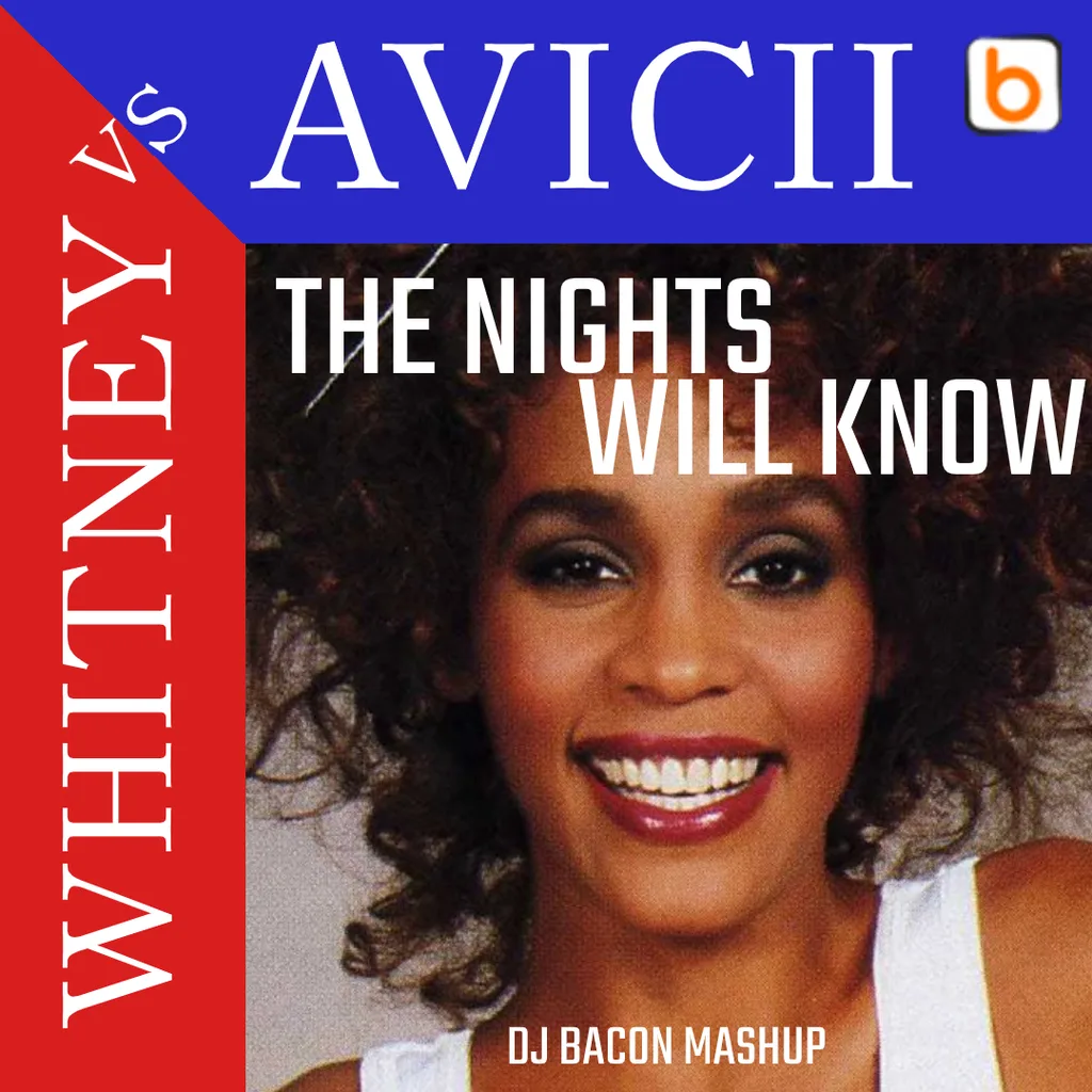 Cover artwork for Whitney Houston vs Avicii - The Nights Will Know (Dj Bacon Mashup)