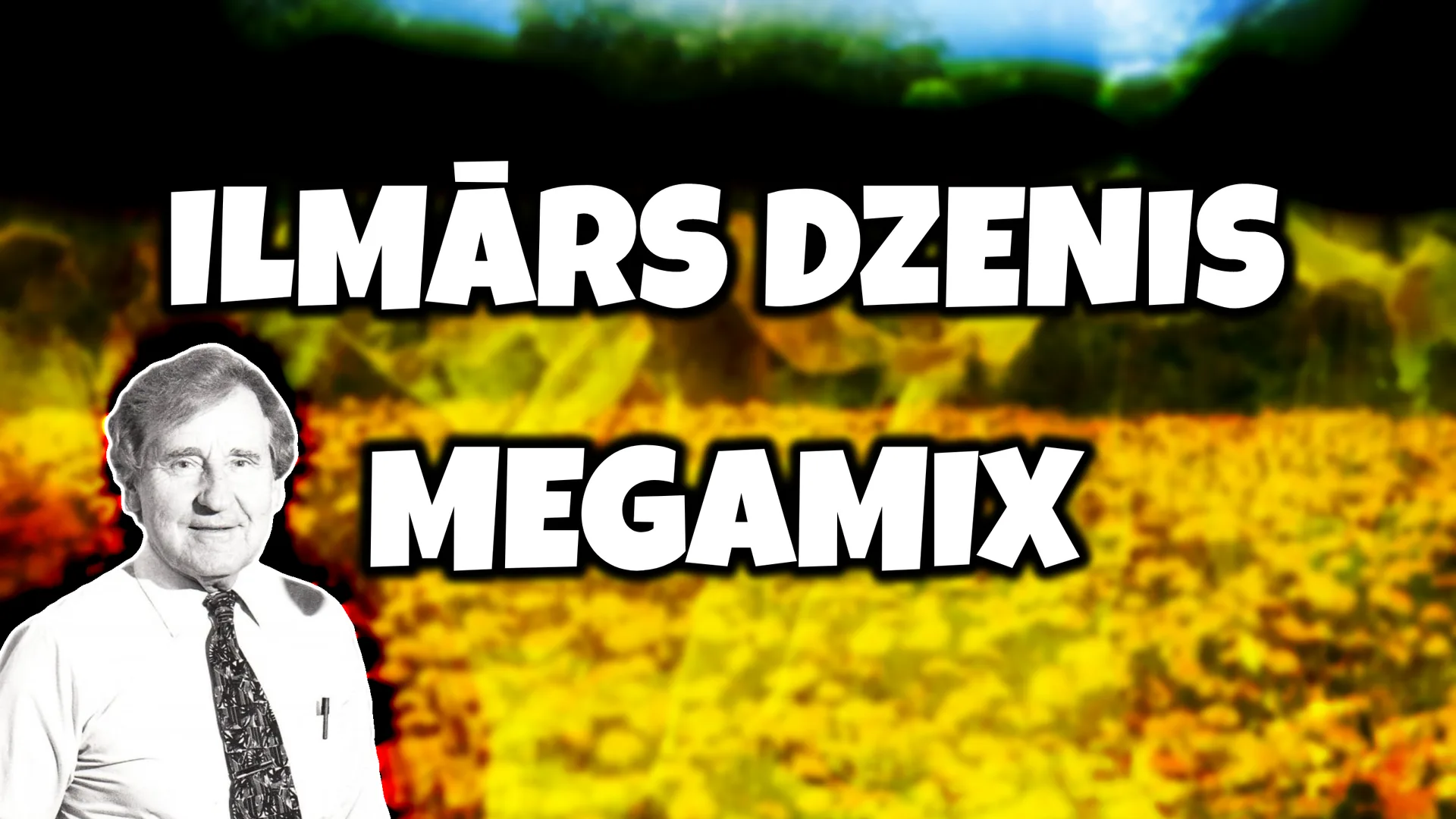 Wide artwork for Ilmārs Dzenis - Megamix 2003