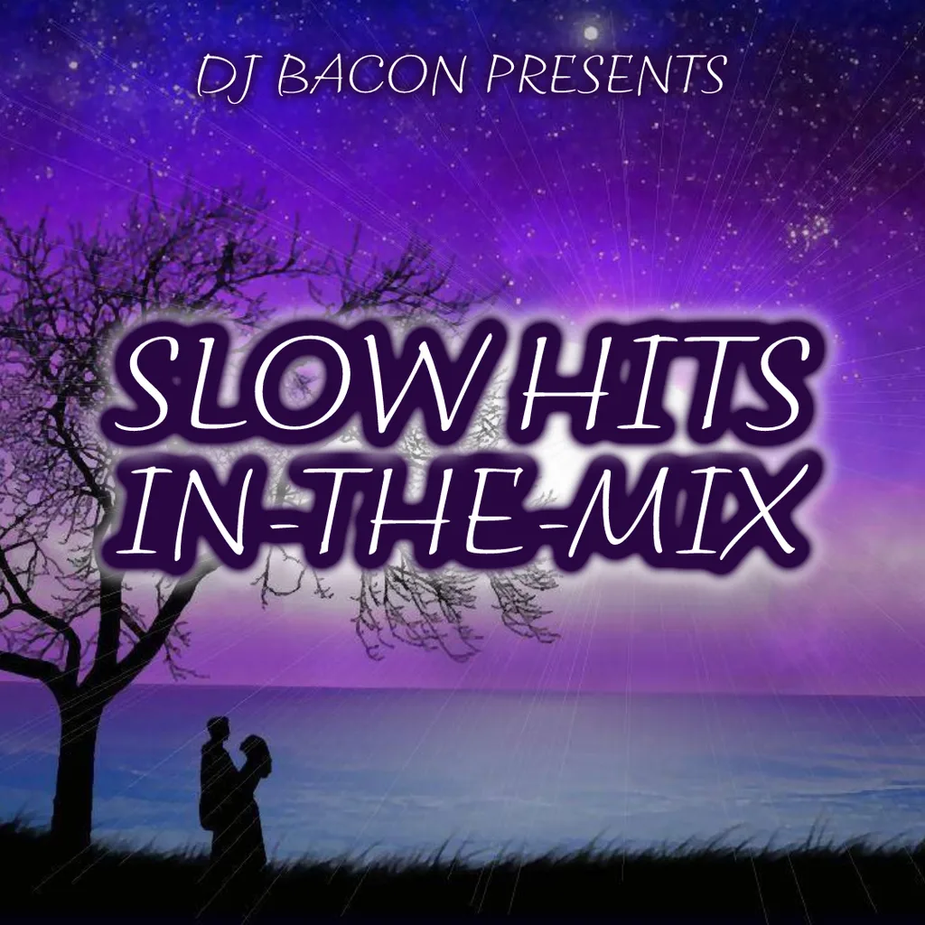 Cover artwork for HSDj Slow Hits Megamix 1